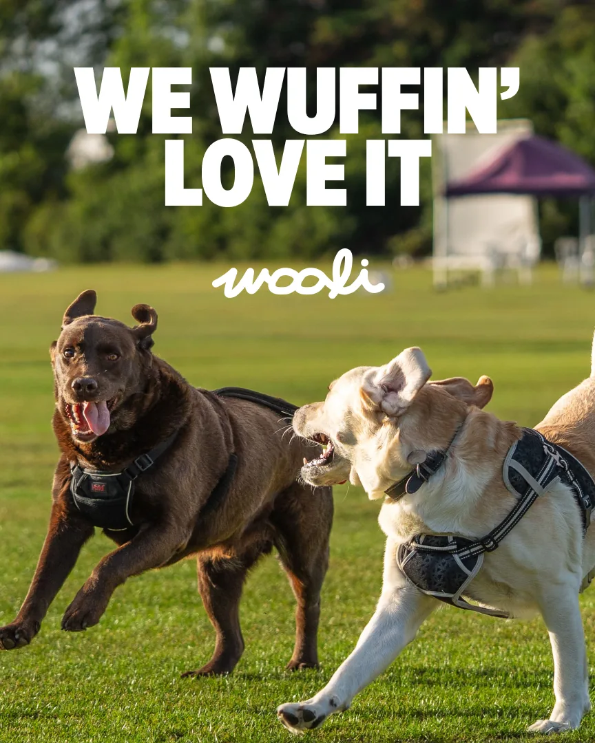 Wooli poster reading We wuffin’ love it